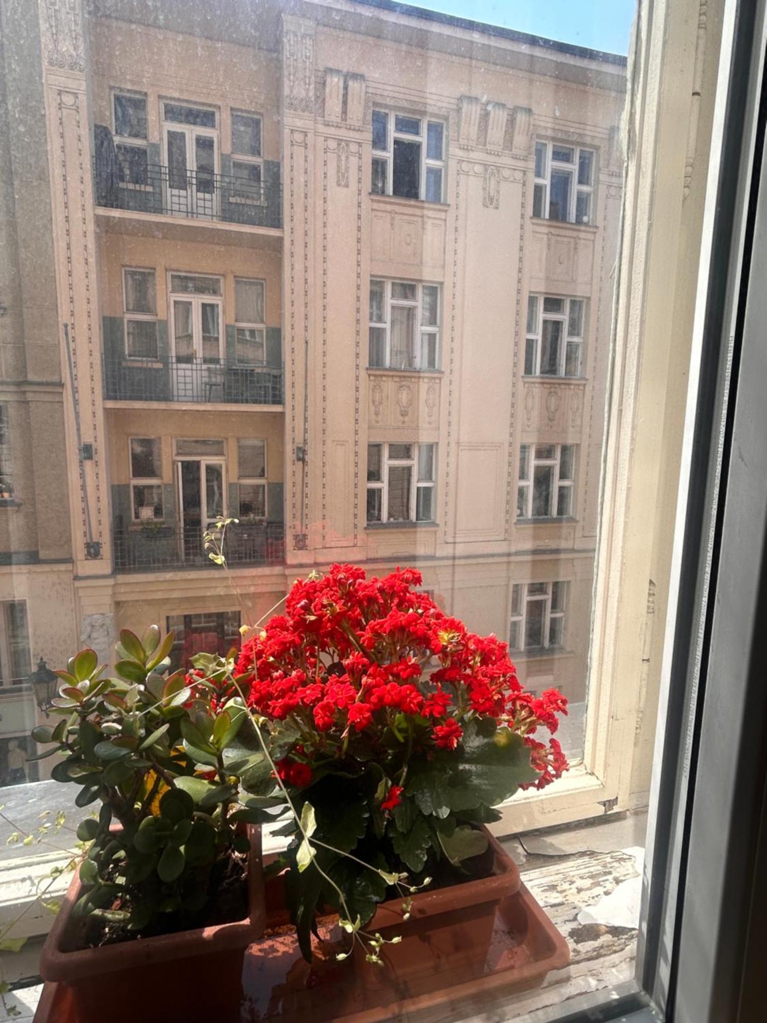 Apartment Super Old Town